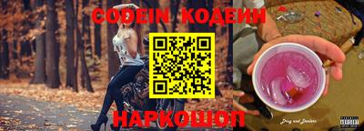 индика Гагарин